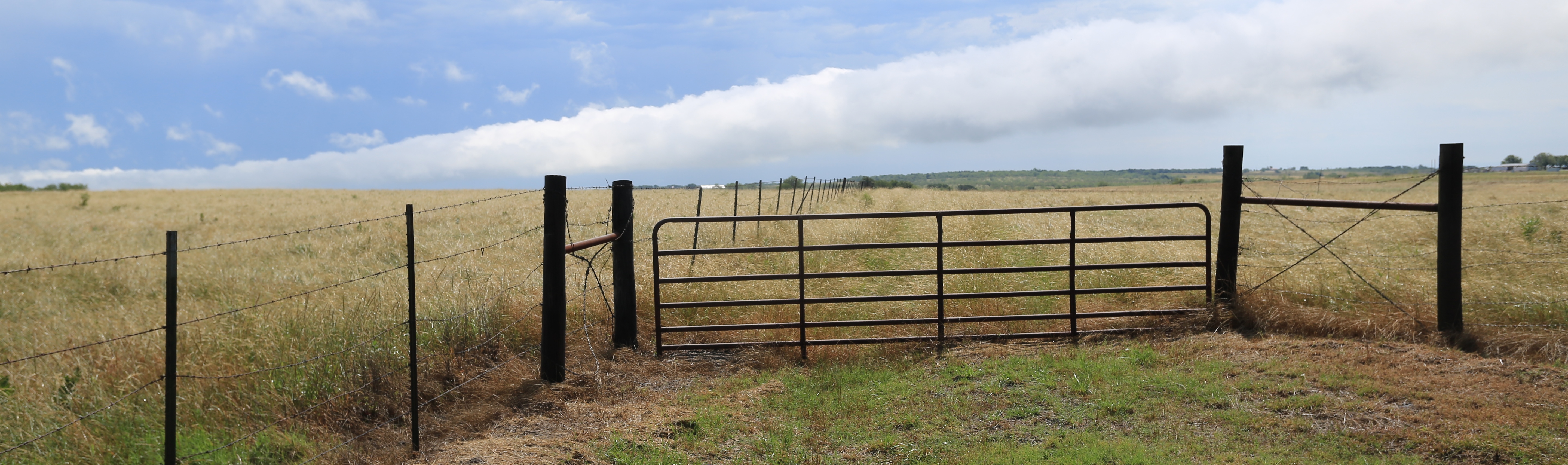 YOUR TEXAS AGRICULTURE MINUTE Texas Farm Bureau Media Center