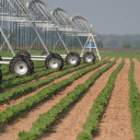 YOUR TEXAS AGRICULTURE MINUTE