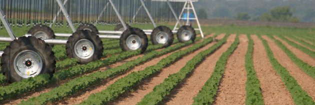 YOUR TEXAS AGRICULTURE MINUTE