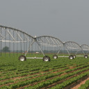 Texas Supreme Court rules landowners own groundwater