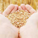 YOUR TEXAS AGRICULTURE MINUTE