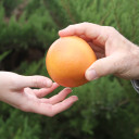 Food Connection Day: An open dialogue between agriculture, consumers