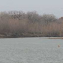 Farm Bureau wins Brazos water rights case