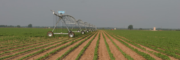 TFB president praises Senate passage of farm bill; ‘disappointed’ in dual ‘no’ votes from Cruz, Cornyn