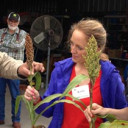 Farmer meets foodies