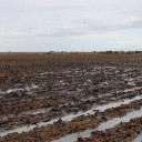 YOUR TEXAS AGRICULTURE MINUTE