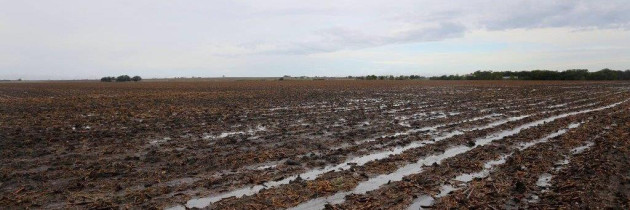 Texas Farm Bureau president testifies on EPA overreach