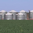 YOUR TEXAS AGRICULTURE MINUTE