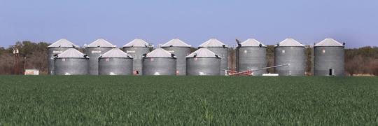 YOUR TEXAS AGRICULTURE MINUTE