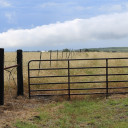 YOUR TEXAS AGRICULTURE MINUTE