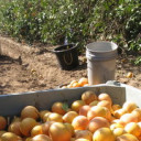 Texas dairyman discusses importance of immigration reform