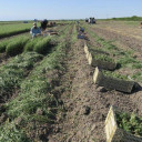 YOUR TEXAS AGRICULTURE MINUTE