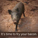 YOUR TEXAS AGRICULTURE MINUTE