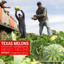 YOUR TEXAS AGRICULTURE MINUTE