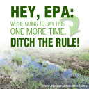 YOUR TEXAS AGRICULTURE MINUTE