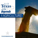 YOUR TEXAS AGRICULTURE MINUTE