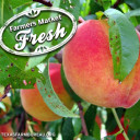 YOUR TEXAS AGRICULTURE MINUTE