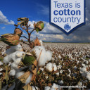 YOUR TEXAS AGRICULTURE MINUTE