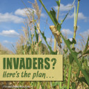 YOUR TEXAS AGRICULTURE MINUTE