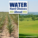 YOUR TEXAS AGRICULTURE MINUTE