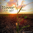 YOUR TEXAS AGRICULTURE MINUTE