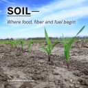 YOUR TEXAS AGRICULTURE MINUTE