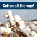 YOUR TEXAS AGRICULTURE MINUTE