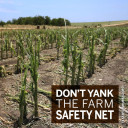 YOUR TEXAS AGRICULTURE MINUTE