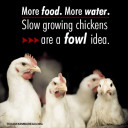 YOUR TEXAS AGRICULTURE MINUTE