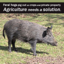 YOUR TEXAS AGRICULTURE MINUTE