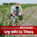 YOUR TEXAS AGRICULTURE MINUTE