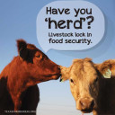 YOUR TEXAS AGRICULTURE MINUTE