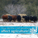 YOUR TEXAS AGRICULTURE MINUTE