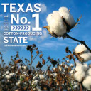 YOUR TEXAS AGRICULTURE MINUTE