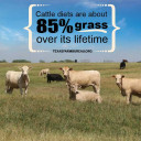 YOUR TEXAS AGRICULTURE MINUTE
