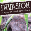 YOUR TEXAS AGRICULTURE MINUTE