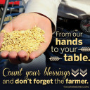 YOUR TEXAS AGRICULTURE MINUTE