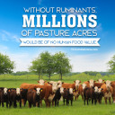 YOUR TEXAS AGRICULTURE MINUTE