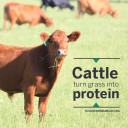 YOUR TEXAS AGRICULTURE MINUTE