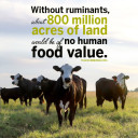 YOUR TEXAS AGRICULTURE MINUTE