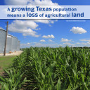 YOUR TEXAS AGRICULTURE MINUTE