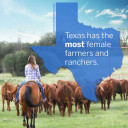 YOUR TEXAS AGRICULTURE MINUTE