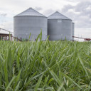 YOUR TEXAS AGRICULTURE MINUTE