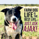 YOUR TEXAS AGRICULTURE MINUTE