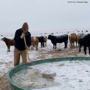YOUR TEXAS AGRICULTURE MINUTE