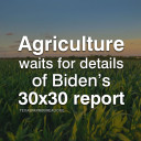 YOUR TEXAS AGRICULTURE MINUTE