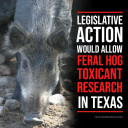 YOUR TEXAS AGRICULTURE MINUTE