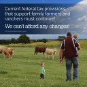 YOUR TEXAS AGRICULTURE MINUTE