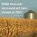 YOUR TEXAS AGRICULTURE MINUTE