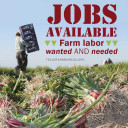 YOUR TEXAS AGRICULTURE MINUTE